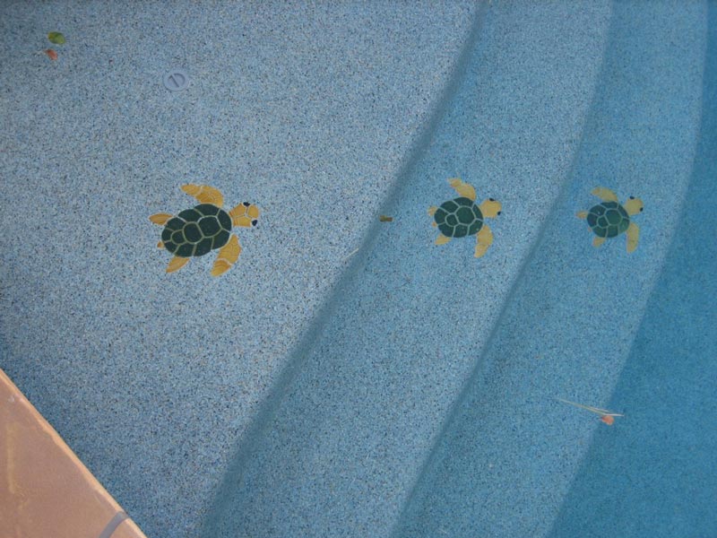 Turtle Decals on Swimming Pool Steps done by our Arizona Pool Company